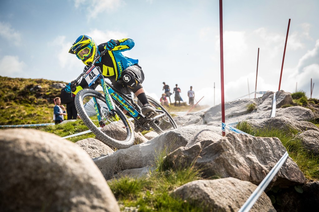 DH gorsko kolo Bergamont Straitline