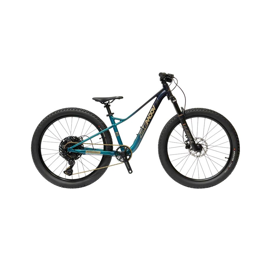 Otroško kolo BEMOOV T24 tur