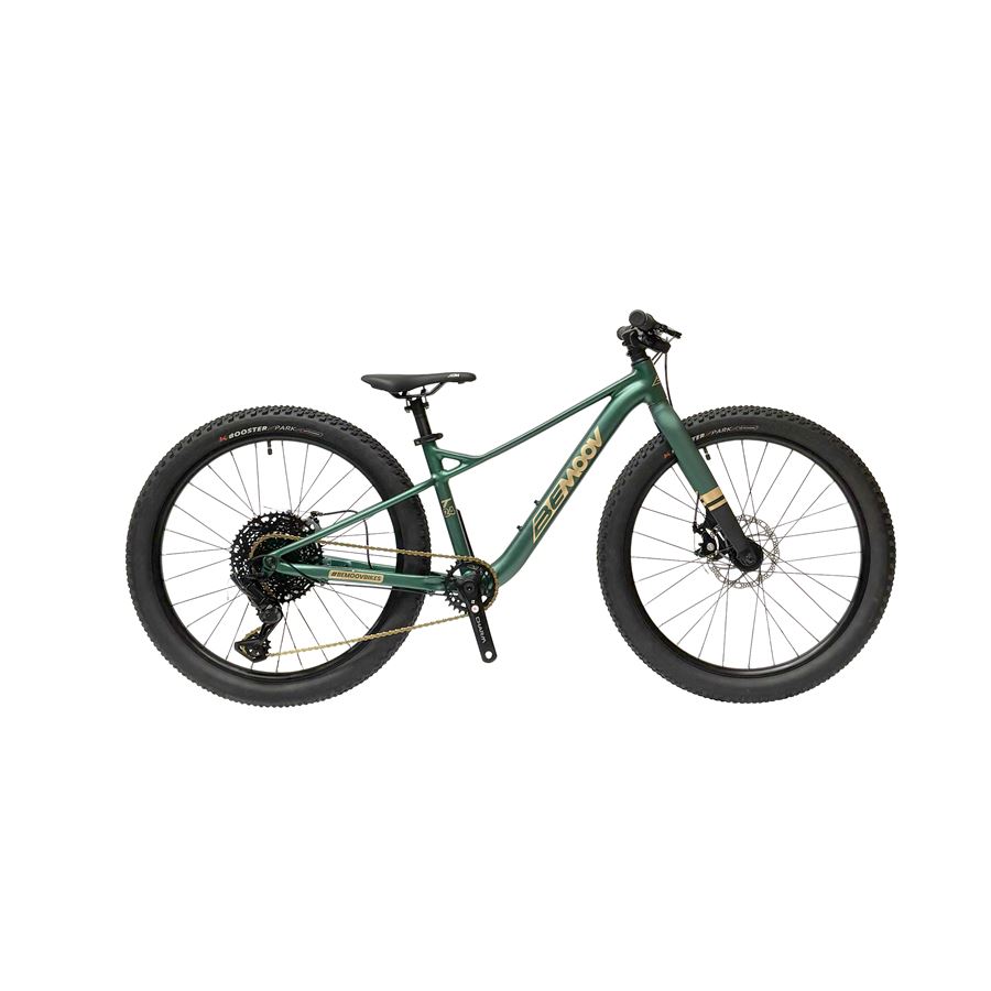 Otroško kolo BEMOOV T24 ze