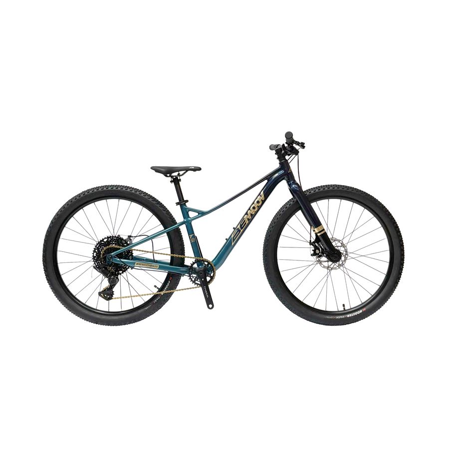 Otroško kolo BEMOOV T26 tur