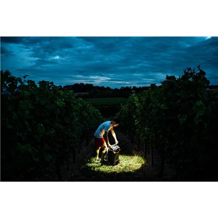 NAGLAVNA POLNILNA SVETILKA Ledlenser H7R Core čr