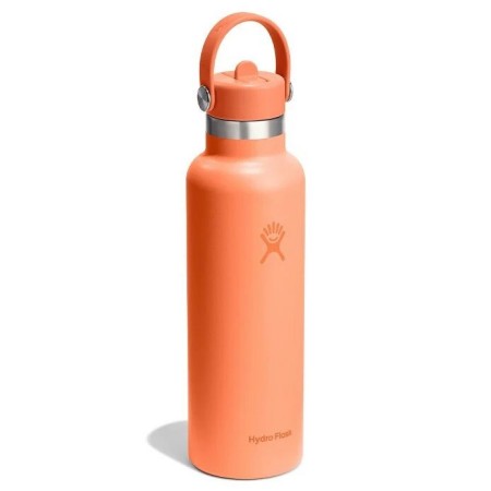 TERMOVKA HYDROFLASK STANDARD FLEX STRAW CAP or 0,62l