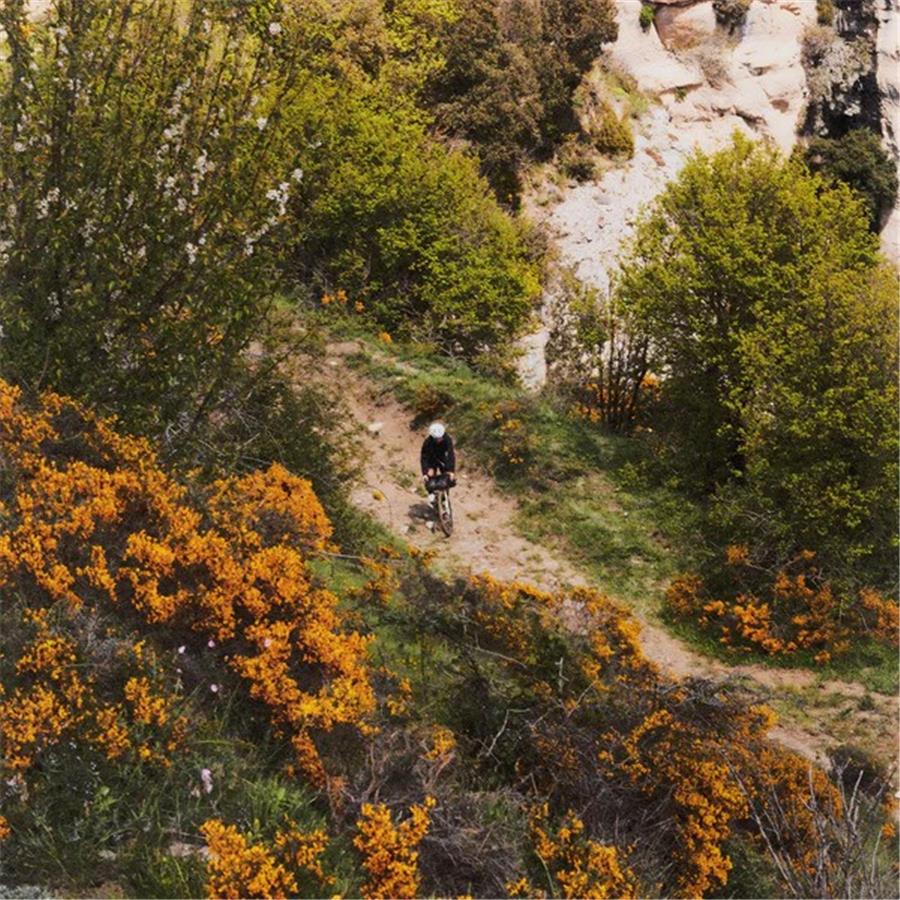 Plašč Vittoria TERRENO T60 Mixed TLR TSS