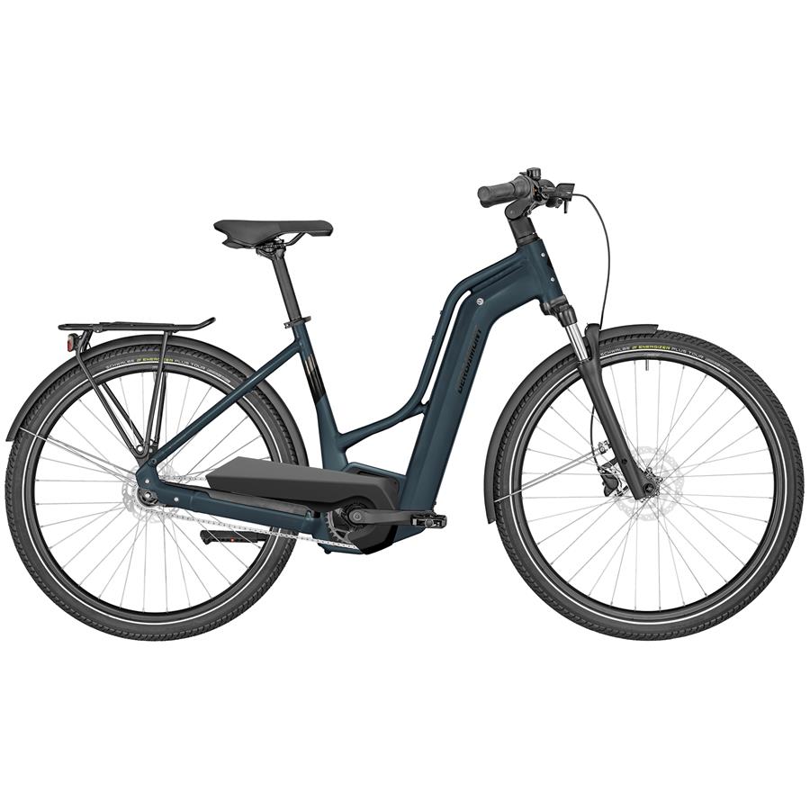 Električno kolo Bergamont E-HORIZON N5E FH AMSTERDAM 24